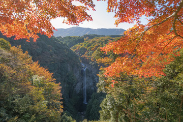 滝