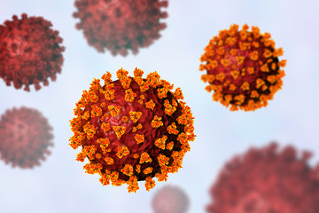 SARS-CoV-2 coronavirus, the virus which causes COVID-19