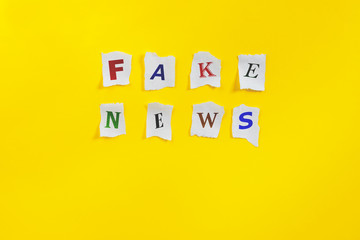 Paper art banner on yellow backdrop in style zine wiht words fake news.