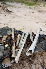 Human bones, dug up after being in the ground for a long time.
