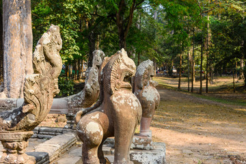 Fototapeta na wymiar Statues of lions guard the entrance to the Unesco World Heritage site of Ankor Thom, Siem Reap, Cambodia