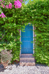 A blue wooden door surrounded by flowers and green leaves, round paving stones