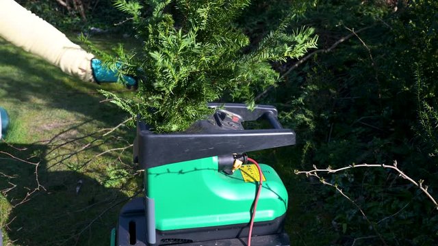 Zerkleinern von Zweigen und &Auml;ste in einem Garten Schredder