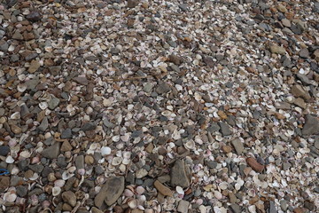 stones on the beach