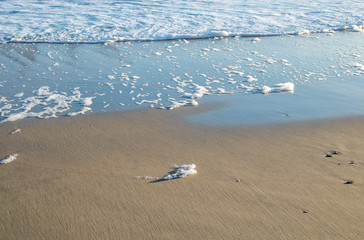 sea foam. foam on a beach