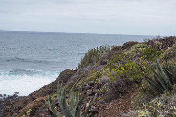coast of the coast, in the Canary Islands