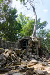 Metal scaffolding provide support for walls as the roots of a giant tree threaten to ruin and take over the Unesco World Heritage site of Ankor Thom, Siem Reap, Cambodia
