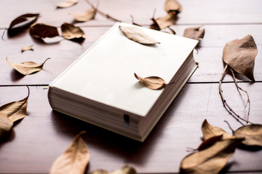 white book with leafs around on a wooden table
