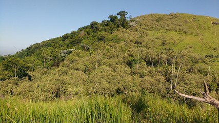 MONTANHA 5