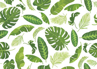 Seamless pattern with different tropical green leaves. Vector illustration.