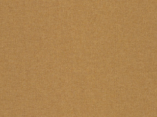 Fototapeta na wymiar abstract brown texture. Homogeneous brown texture. Brownish background