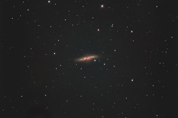GALASSIA M82 detta sigaro