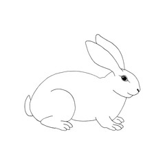 Vector illustration of hand drawing rabbit. Easter symbol. Black and white sketch bunny