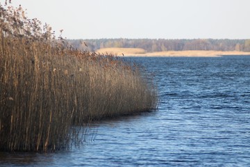 The Dnipro River near Kyiv
