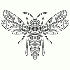 abstract butterfly with ornaments drawn on a white background for coloring, vector, insect, coloring book
