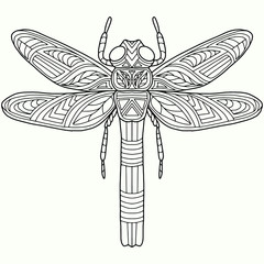 dragonfly drawn on a white background for coloring, vector, coloring book