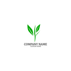 nature logo template.leaf logo  concept
