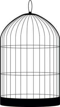 birdcage isolated on white
