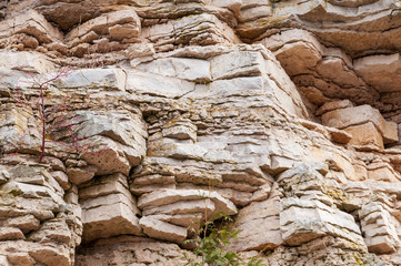 Niagara Escarpment close up of dolomite stone ledge, Bay Shore Park, New Franken, WI.