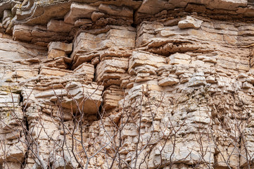 Niagara Escarpment close up of dolomite stone ledge, Bay Shore Park, New Franken, WI.