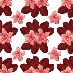 Frangipani Plumeria Tropical Flowers on white background. Seamless Pattern Background. Tropical floral summer seamless pattern background with plumeria flowers with leaves