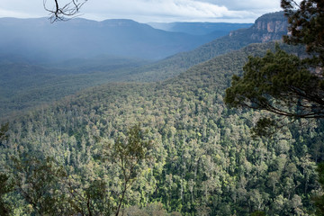 Obraz premium Blue Mountains landscape, New South Wales, Australia