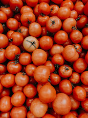 lots of ripe red tomato for eating background