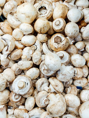 lots of mushroom mushrooms for eating like a background