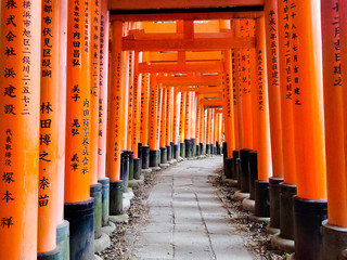 Fushimi Inari Taisha Torri 