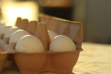 Bio-Eier im Karton