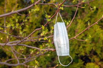 Protective medical mask on the branches of spring trees. Coronavirus quarantine concept.