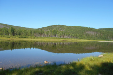 the mirror surface of the water reflects the forest growing on the shore