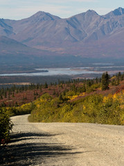 The gravel Denali Highway winds through low scrub down to the Susitna River - 335896581