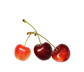 Sweet cherries