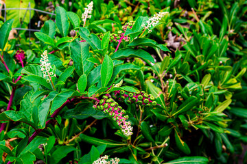 Travels thru Greece and the islands