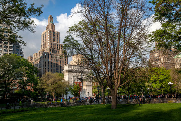Obraz premium Beautiful foliage colors of park in Newyork