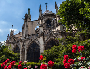 The Cathedral in Paris