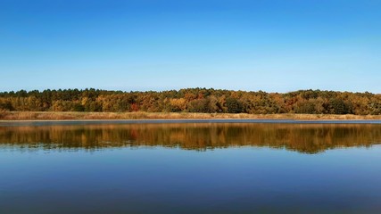 Fototapeta premium magical autumn nature