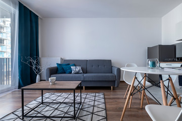 Modern Contemporary living room interior