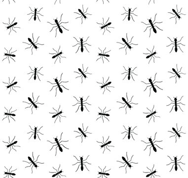Vector seamless pattern of black sketch ant silhouette isolated on white background