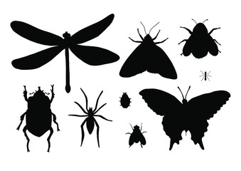 Vector set bundle of black sketch insects silhouette isolated on white background