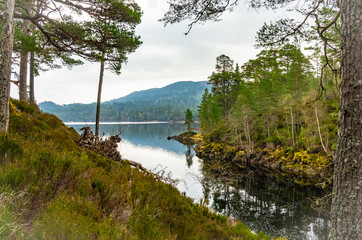 Lake view - Loch Beinn a' Mheadhoin near Glen Affric in Scotland 