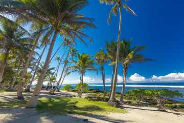 Tropical beach on south side of Samoa Island with coconut palm trees