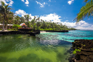Vibrant tropical beach with palm trees, Upolu, Samoa