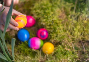 Kinderhand greift nach Ostereier in einem Nest