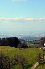 Das Geiersnest im Schwarzwald im Fr&uuml;hling