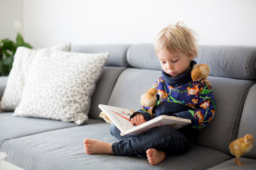 Little toddler child, blond boy, reading book with sweet chicks