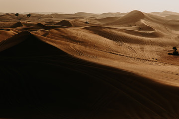 Fototapeta na wymiar Desert Dunes of the Empty Quarter in the UAE Dubai