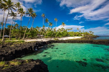 Vibrant tropical beach with palm trees, Upolu, Samoa