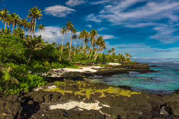 Obraz premium Tropical beach on south side of Samoa Island with coconut palm trees